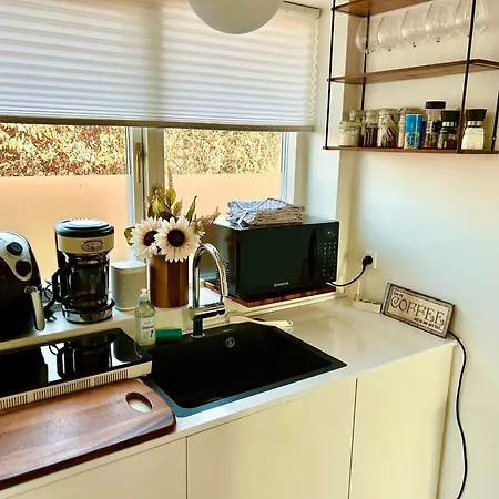 Villa New Near Rosengard, City, E20 & Congress C Odense